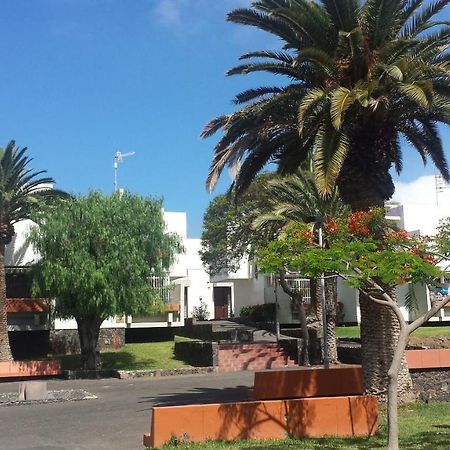 Simple Apartment Frontera Primavera Pool In South Tenerife طوستا ديل سيلونثيو المظهر الخارجي الصورة