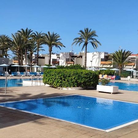 Simple Apartment Frontera Primavera Pool In South Tenerife طوستا ديل سيلونثيو المظهر الخارجي الصورة