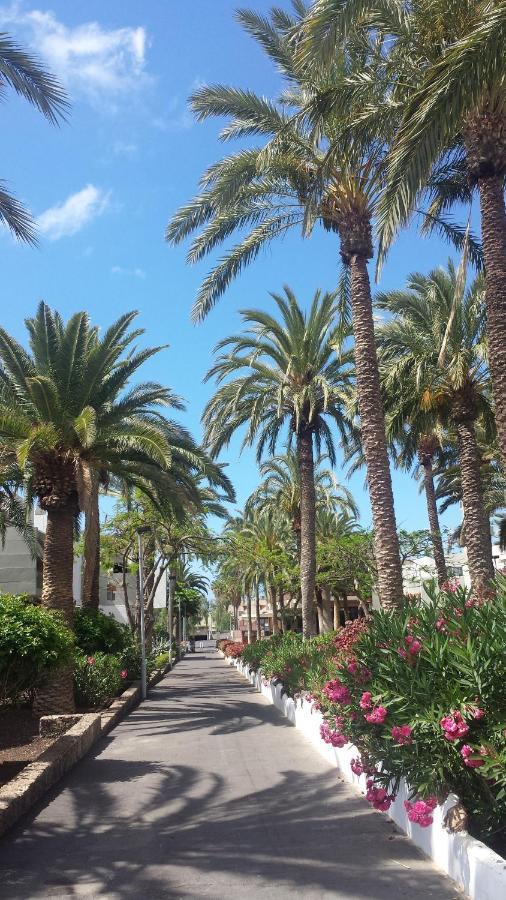 Simple Apartment Frontera Primavera Pool In South Tenerife طوستا ديل سيلونثيو المظهر الخارجي الصورة